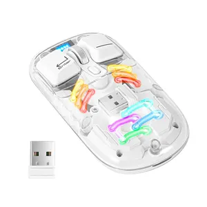 Souris sans fil Bluetooth populaire transparente pour ordinateurs portables Windows Mac souris transparente mince Rechargeable avec récepteur USB 2.4G