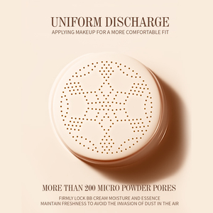 Private Label Long Lasting Waterproof Oil Control Concealer Makeup Matte Pressed Powder Air Cushion <b>Foundation</b> CC Cream - Product Image 6