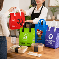 Sacs isothermes et sacs thermiques non tissés personnalisés 30L, imperméables, réutilisables, pour la livraison de repas, impression de logo, fournisseur pour restaurants