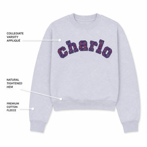 Sudadera Charlo de algodón y forro polar para mujer, cuello redondo, estilo universitario con apliques, peso pesado, para gimnasio y ropa urbana, venta al por mayor, OEM - Product Image 2