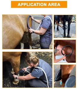 Máquina de Campo Electromagnético Pulsado (PEMF) Profesional de Alta Calidad para Clínicas Veterinarias, Mantenimiento de la Salud Equina, para <span class=keywords><strong>Caballos</strong></span> - Product Image 6
