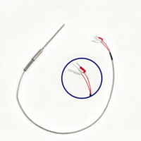 Sonde de température blindée PT100 en platine haute précision, anti-brûlure, avec câble blindé, personnalisable OEM/ODM, IP20