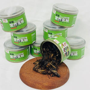 <span class=keywords><strong>Vente</strong></span> directe d'usine de <span class=keywords><strong>grillons</strong></span> noirs frais biologiques en conserve, aliments riches en protéines pour animaux de compagnie (poulets, oiseaux, tortues, poissons) - Product Image 2