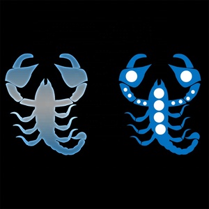 Phấn Mắt Nhũ Lấp Lánh Dạng Biểu Tượng Tùy Chỉnh Không Nhãn Tự Làm Bột Phấn Mắt Nhũ Lấp Lánh Dạng Bột Phấn Mắt Nhãn Hiệu Riêng - Product Image 4