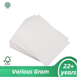 Grand stock de carton C1S ivoire GC1 FBB à <span class=keywords><strong>surface</strong></span> lisse, idéal pour les cartes de visite et les invitations haut de gamme - Product Image 1