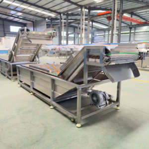 Electric Automatic Continuous <strong>Fruit</strong> Vegetable Air Bubble <strong>Washing</strong> Cleaning <strong>Sorting</strong> <strong>Machine</strong> - Product Image 3