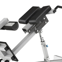 Chaise romaine professionnelle en acier à charge de plaques pour extensions dorsales, équipement de fitness réglable pour les hanches et le bas du dos