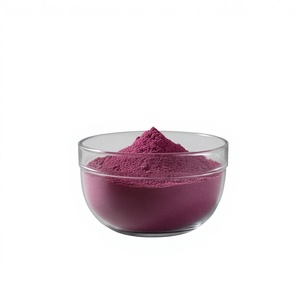 뽕나무열매분말 99% 수용성 뽕나무추출물 열매분말 뽕나무즙 농축분말 고형음료 - Product Image 1