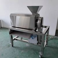 Mango Pitloze Sapcentrifuge Pulp Extractor Machine 220v met Motor voor Mango Kersen Sapcentrifuge Fruitpulper Machine Lage Prijs