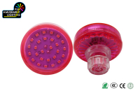 Ampoule LED Pixel en Plastique pour Parc d'Attractions AC24V Funfair 60MM E14 21LED 360 IP65