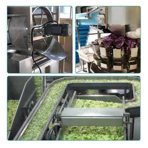 Ligne de traitement automatique de légumes <span class=keywords><strong>pois</strong></span> verts surgelés ligne de production automatique de légumes surgelés tomate <span class=keywords><strong>carotte</strong></span> machine à laver - Product Image 4