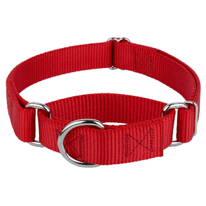 Kingtale-Collar de perro martingala de nailon personalizado OEM para mascotas - Product Image 5