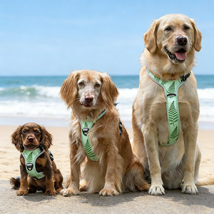 कस्टम पैटर्न कुत्ते का उपयोग मिलान लेश कॉलर के साथ छोटे मध्यम और बड़े कुत्तों के लिए नहीं चलना - Product Image 4