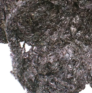 Nuevos mariscos cosechados sueltos Laver <span class=keywords><strong>algas</strong></span> marrón seco crudo comestible <span class=keywords><strong>algas</strong></span> Laver - Product Image 3