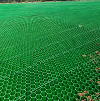 Grille de stabilisation du sol en HDPE robuste pour allées et parkings aux États-Unis
