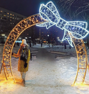 Arco de luz LED IP65 personalizado para bodas navideñas en interiores e iluminación de jardines exteriores - Product Image 1