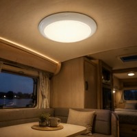 Lumière de toit LED marine ultra-mince 3 pouces 7 pouces étanche 12V-24V pour intérieurs de bus et de camping-cars, accessoires d'éclairage intérieur automobile