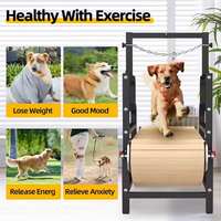 Tapis roulant pour chien EUR PET Heavy Duty, machine de fitness pour chien, tapis roulant non motorisé