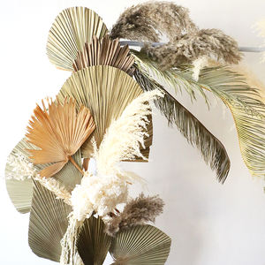 Yunnan all'ingrosso varie forme stili diversi palme secche naturali <span class=keywords><strong>foglie</strong></span> palme - Product Image 2