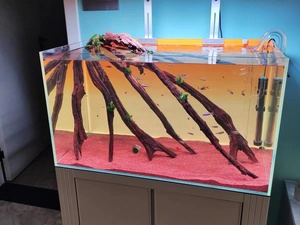 Aquarium Visbak Acryl Gradiënt RGB LED Achtergrondpaneel met Aanpasbaar Frame en IP44-classificatie - Product Image 4