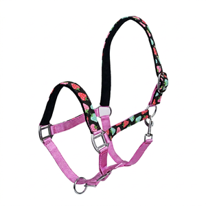 Cabestro de Nylon Acolchado Personalizado con Forro de Felpa Suave y Ajustable, Equipo de Entrenamiento Equino Duradero - Product Image 1
