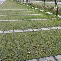 Dalles de gazon emboîtables pour allées et parkings, pavés perméables en plastique, système de pavage vert pour voies d'accès d'urgence et voies de circulation des pompiers