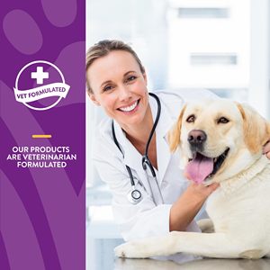 <span class=keywords><strong>Vitaminas</strong></span> Diarias para <span class=keywords><strong>Perros</strong></span> Mayores OEM/ODM con Glucosamina - Masticables Multivitamínicos Completos y de Apoyo a las Articulaciones para Articulaciones Saludables - Product Image 5
