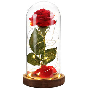Saint Valentin Fleur <span class=keywords><strong>La</strong></span> <span class=keywords><strong>Belle</strong></span> <span class=keywords><strong>et</strong></span> <span class=keywords><strong>La</strong></span> Bête Fleur Rose Rouge <span class=keywords><strong>en</strong></span> Dôme de Verre avec Lumières Unique Roses Artificielles Cadeau pour Maman - Product Image 1