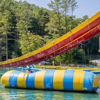 Tour de saut aquatique gonflable pour parc d'aventure aquatique, à louer et à vendre