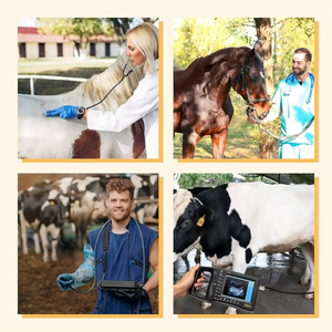 Appareil d'échographie vétérinaire portable pour animaux d'élevage, vache, cheval, dispositif de diagnostic de gestation, appareil d'échographie vétérinaire DVK40 - Product Image 6