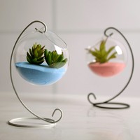 Vase en verre pour décoration de terrarium de fleurs et plantes, fabrication HDW, vente en gros à bas prix, pour la décoration de la maison