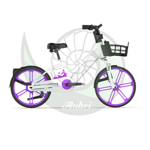 Cilindro de Hidrógeno con Capacidad de 0.39L para Bicicleta Rubri-H-Bike 200 - Product Image 3