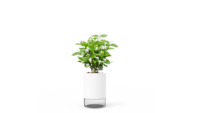 Mini purificateur d'air d'intérieur innovant, au design moderne, avec des tasses de croissance de plantes en forme de fleur de bureau créatives