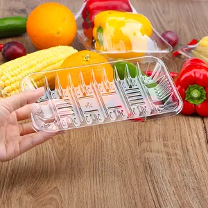 Disposable Clear Plastic Meat Beef Poultry And Chicken Packaging Food Tray