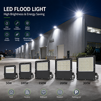 Projecteur LED 100W 200W 300W, boîtier en aluminium moulé sous pression, IP66, éclairage extérieur pour parking, place publique, stade