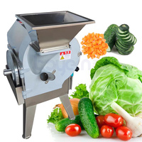 Petite Machine Industrielle de Coupe et Hachage pour Légumes et Fruits, Hachoir, Trancheur, Désinsectiseur pour Oignons et Légumes