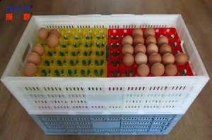 يستخدم لنقل البيض القابل للطي أو التراص لنقل البيض وتخزينه سهل التنظيف. - Product Image 2