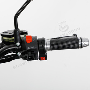Motocicleta Todoterreno de Alta Calidad de 80 km/h, 3000 W, 72 V, para Adultos - Product Image 2