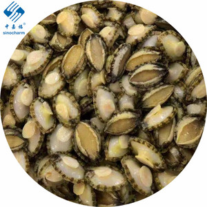 Cung Cấp Cho Vỏ Chất Lượng Cao Và Không Có Vỏ Bào Ngư - Product Image 5