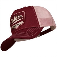 Gorra Trucker con Logotipo Bordado Personalizado OEM, Diseño de Alta Calidad, Deportiva, Moderna, para Playa, Malla 100% Algodón