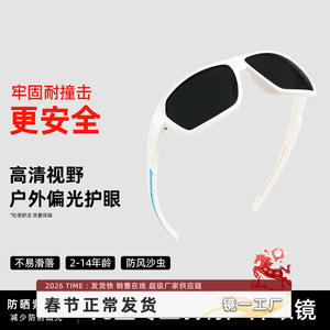 Lunettes de soleil unisexes tendance 6115 UV400, monture TR90, verres TAC polarisés, pour voyages, fêtes et rassemblements - Product Image 5