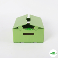 Ecologische herbruikbare geventileerde golfkartonnen fruitdoos met glanzende laminatie, aangepaste logo verzenddoos voor verse peren