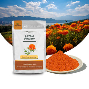 天然ルテイン粉末20% 高純度マリーゴールドエキス食品 & 飲料用 - Product Image 1