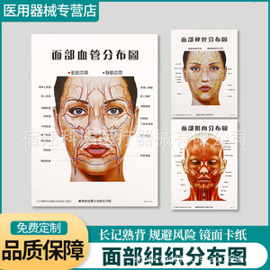Diagrama de Distribución de Vasos Sanguíneos Faciales de Suqian Kewo 59, Póster de Referencia para Cirugía Estética - Product Image 2