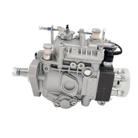 VE Diesel Engine Fuel Injection Pump Assembly 104645-8742 VE4/10F2000RNP2045 for MITSUBISH 4D56 Engine for Replace/repair