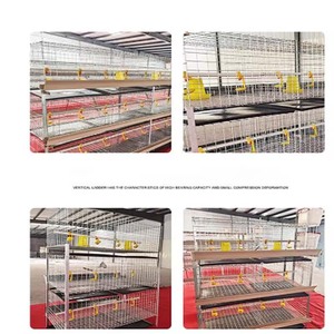 Jaula <span class=keywords><strong>de</strong></span> pollo escalonada <span class=keywords><strong>de</strong></span> <span class=keywords><strong>acero</strong></span> tipo H completamente automática para avicultura, capa <span class=keywords><strong>de</strong></span> huevo a presión natural, equipo <span class=keywords><strong>de</strong></span> valla <span class=keywords><strong>de</strong></span> granja - Product Image 5