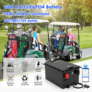 Battery Pack 12v 200ah 300ah 400ah 500ah for Camping UPS Storage Battery With <b>Metal</b> Case LFP 51150 Battery 12v 200ah - Product Image 4