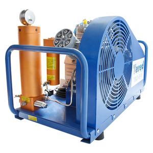 Taşınabilir elektrikli hava pompası yüksek basınçlı solunum hava dalış kompresörü 300bar satılık - Product Image 3