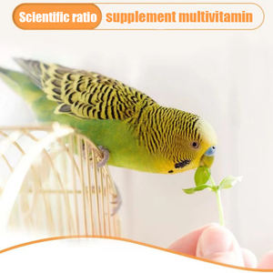 Polvere Multivitaminica OEM per Pappagalli - Facilmente Solubile in Acqua, Supporto Immunitario, Cura della Salute degli Animali Domestici - Product Image 4