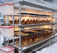 Cage à poulets de type H pour l'intégration en ferme verticale